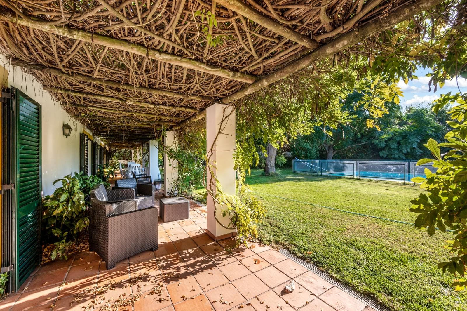 Quinta 24.8 ha, Almeirim - Imagem 3