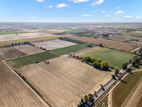 PF38268 - Ferme 24.8 ha, Almeirim - Image 10