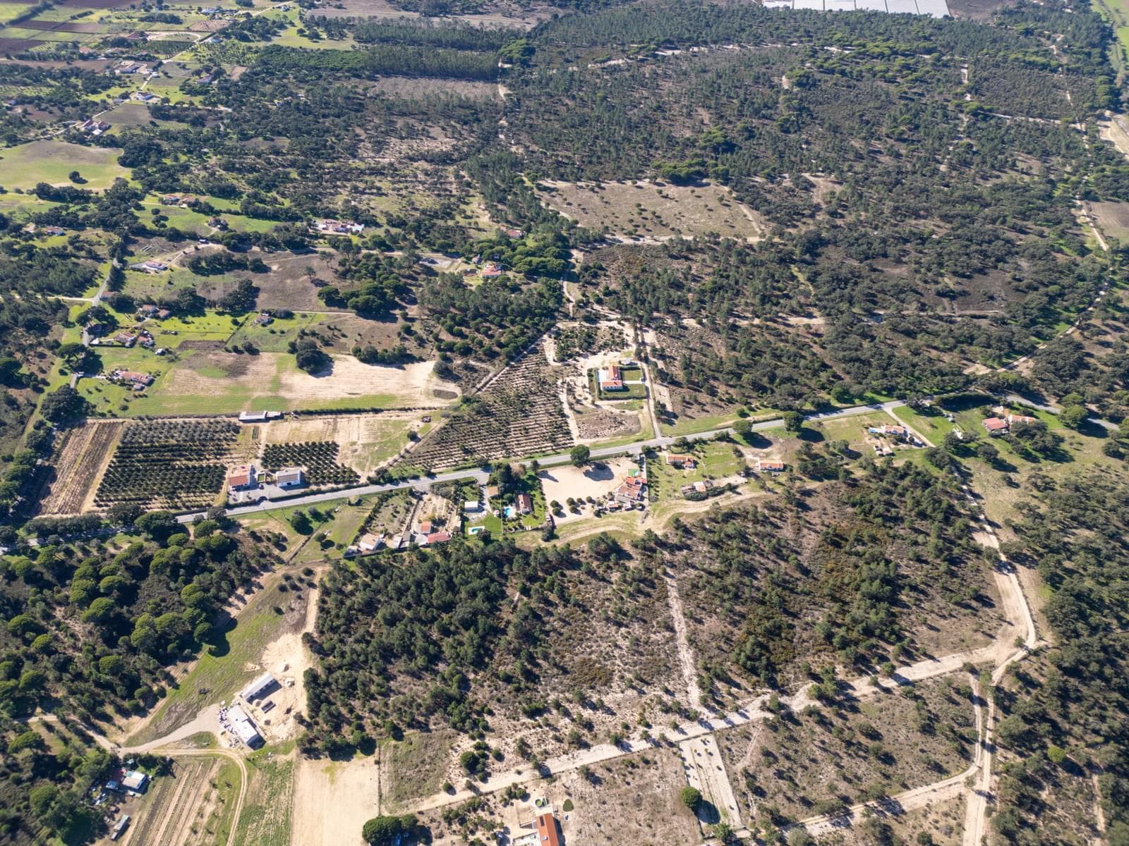 Terreno Rústico 7.5 ha, Lagoa de Santo André, Santiago do Cacem - Imagem 7