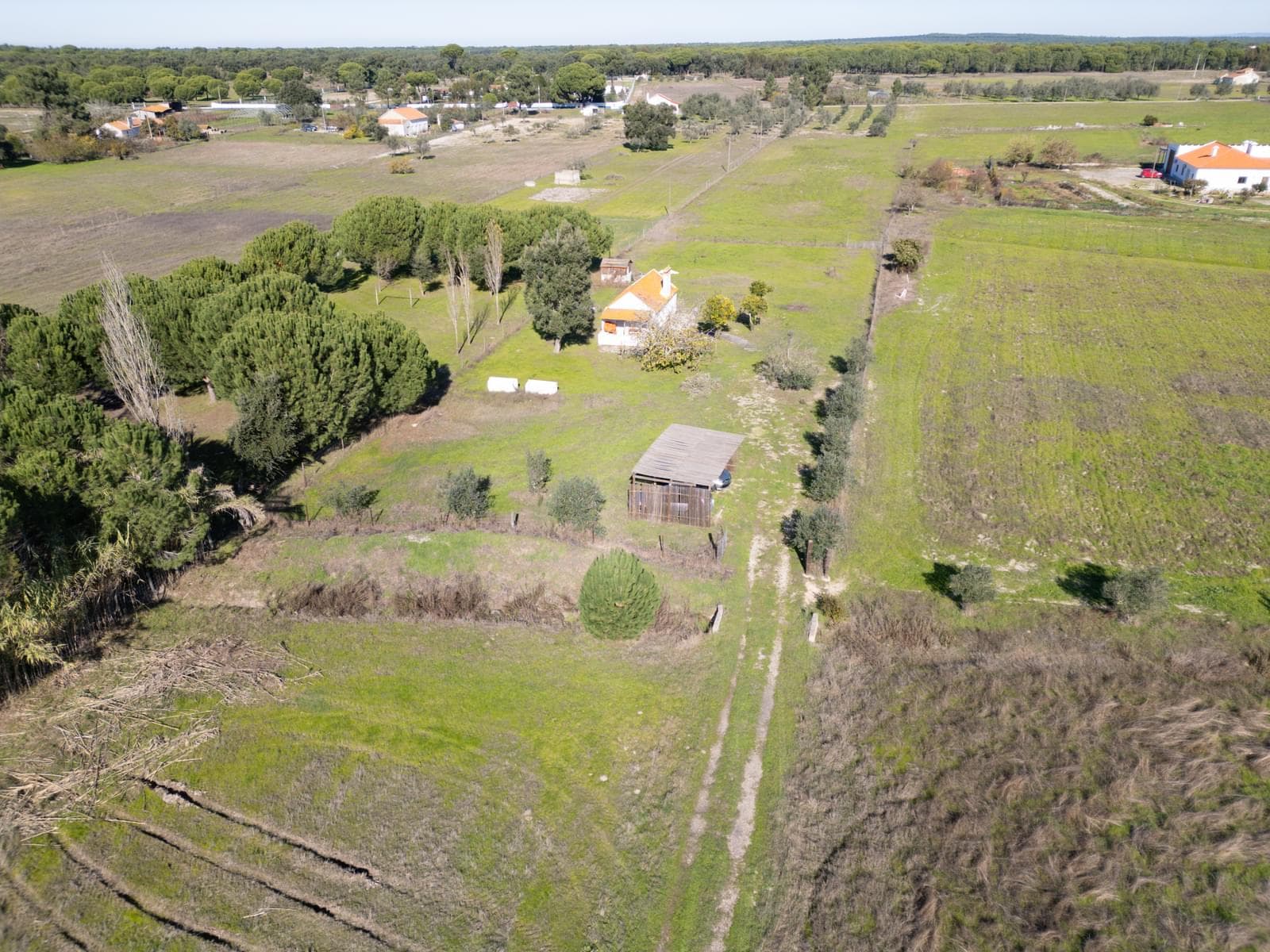 Terreno Misto 1.2 ha, Grandola - Imagem 10