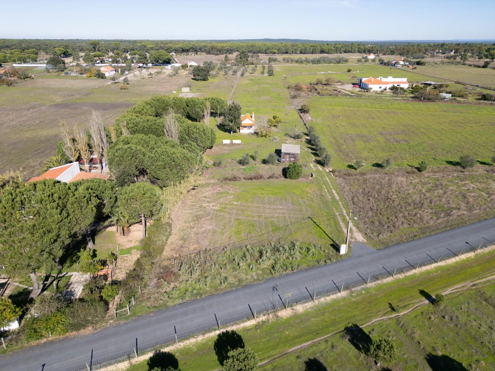 Terreno Misto 1.2 ha, Grandola - Imagem 12