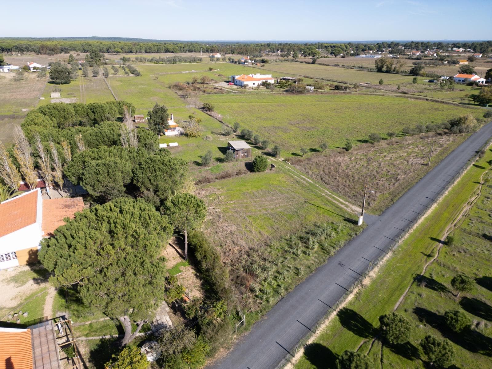Terreno Misto 1.2 ha, Grandola - Imagem 11