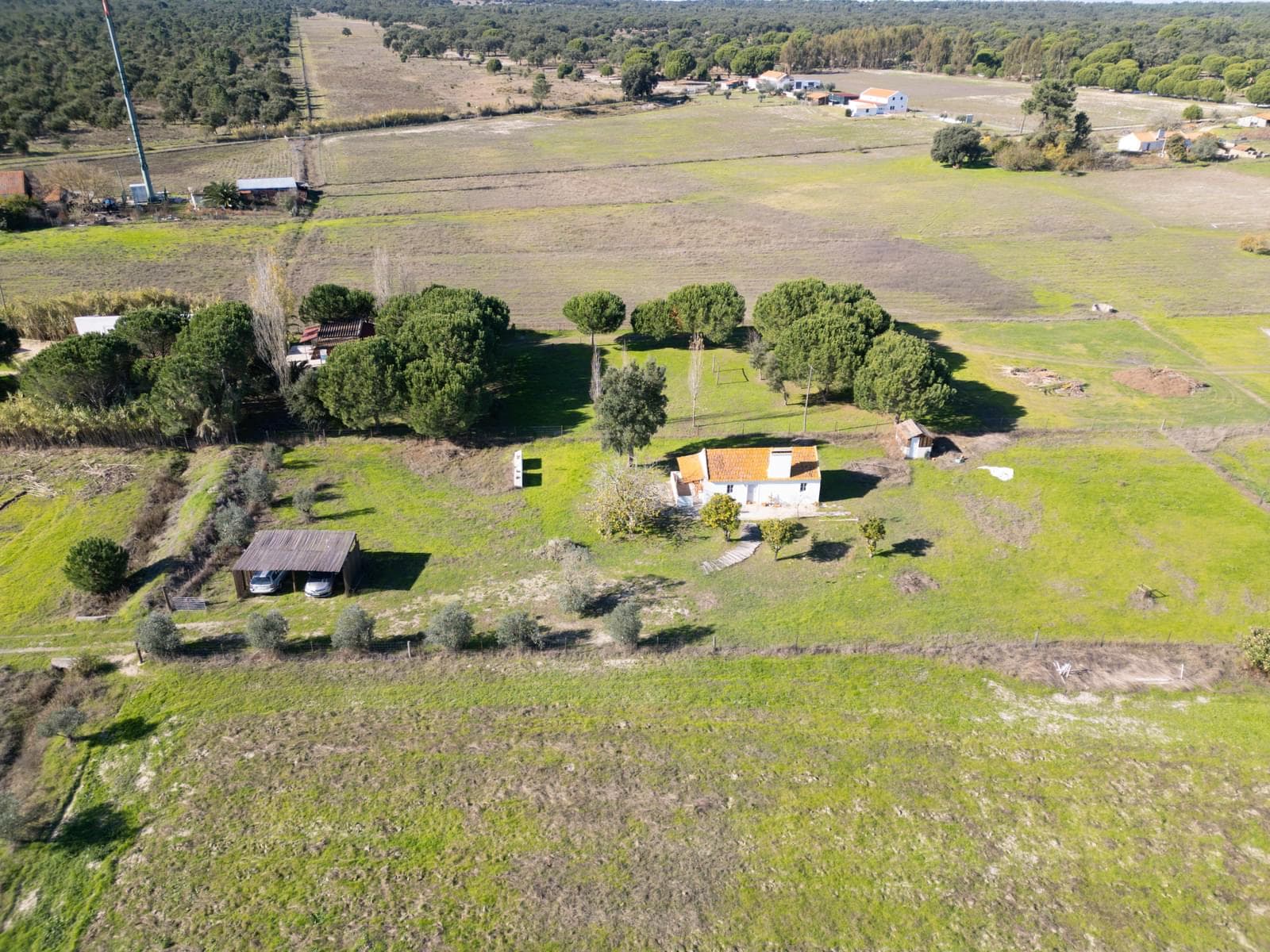 Terreno Misto 1.2 ha, Grandola - Imagem 5