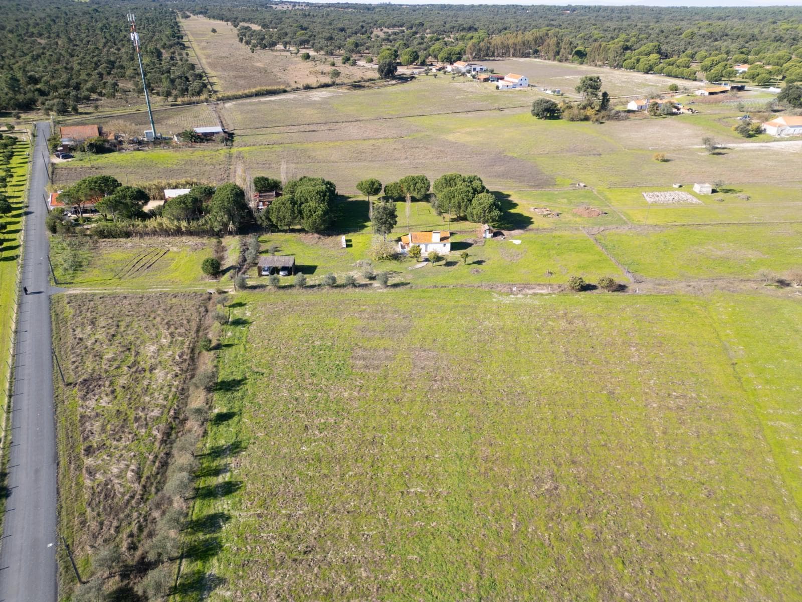 Terreno Misto 1.2 ha, Grandola - Imagem 15