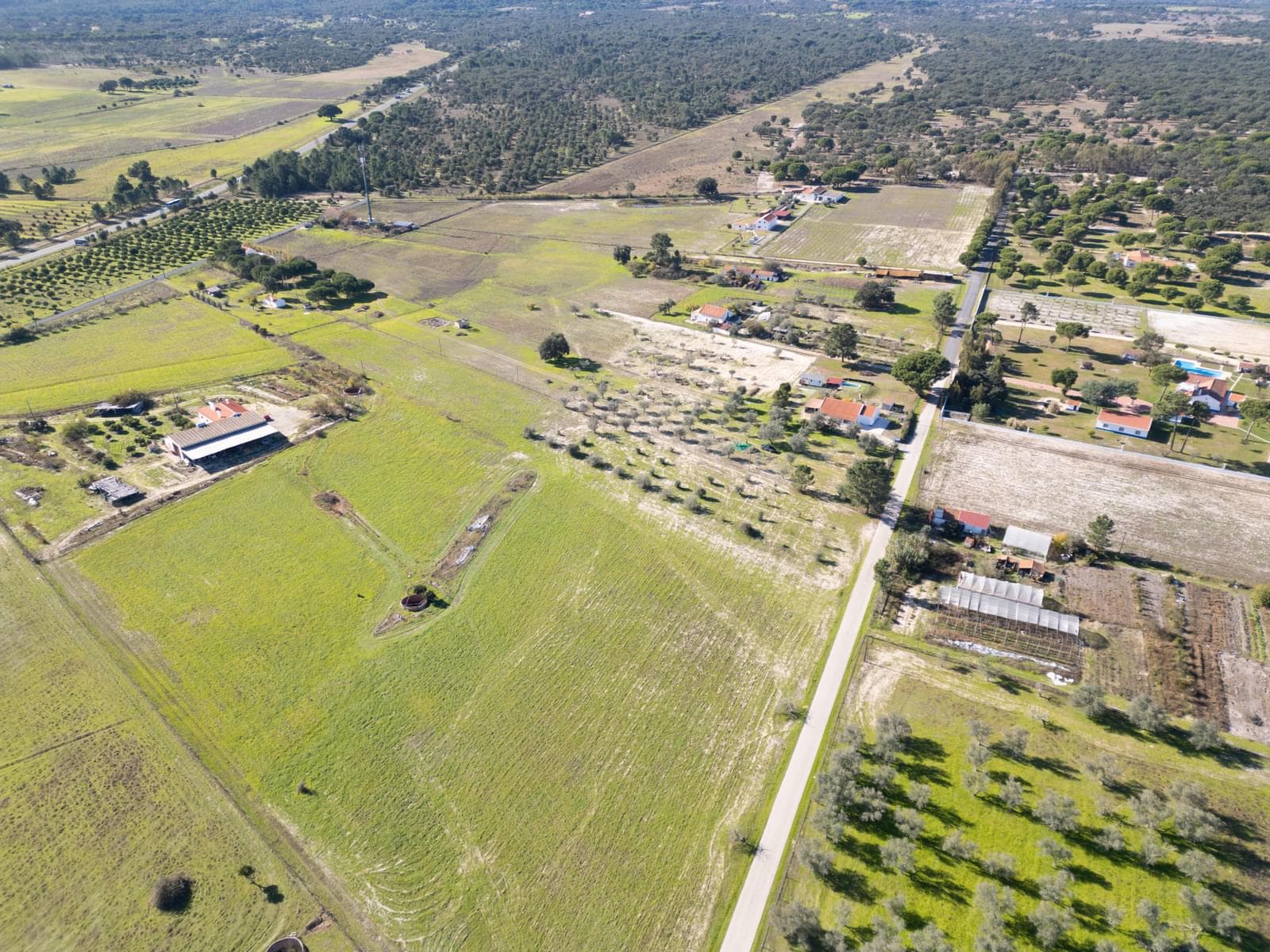 Terreno Misto 1.2 ha, Grandola - Imagem 17