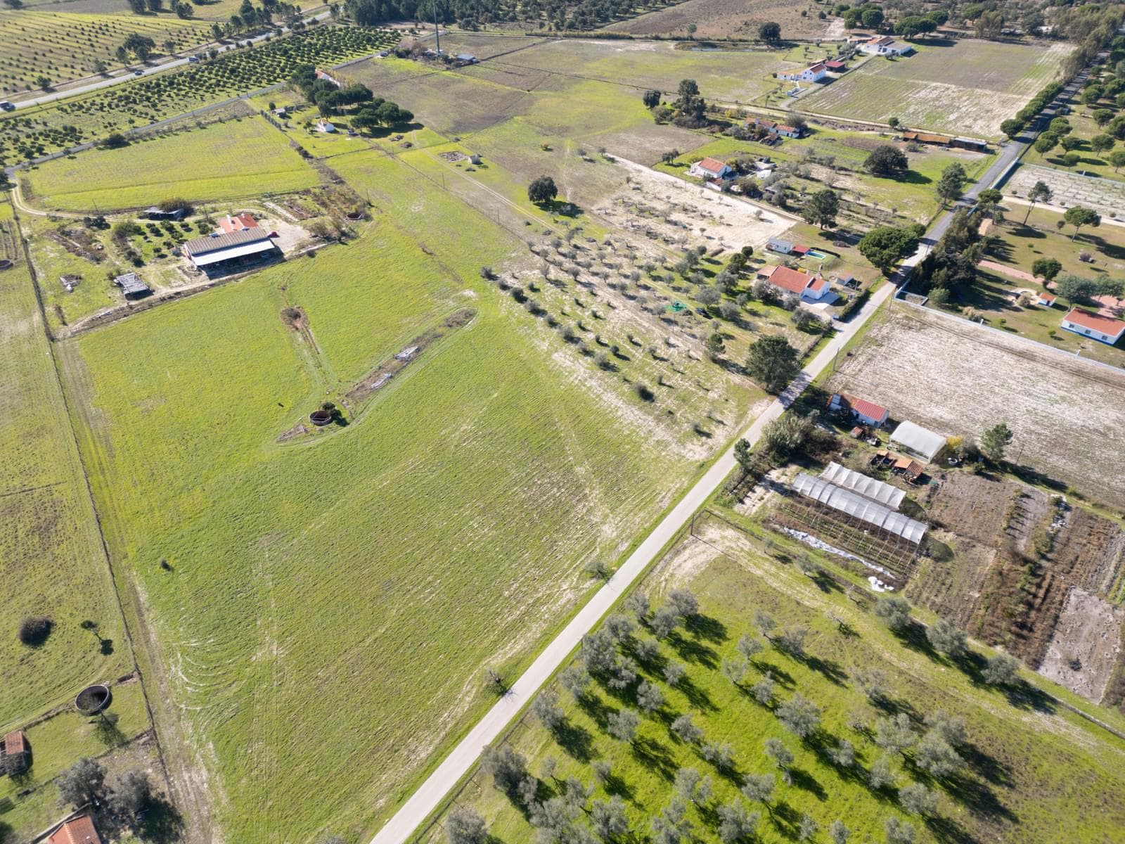 Terreno Misto 1.2 ha, Grandola - Imagem 18