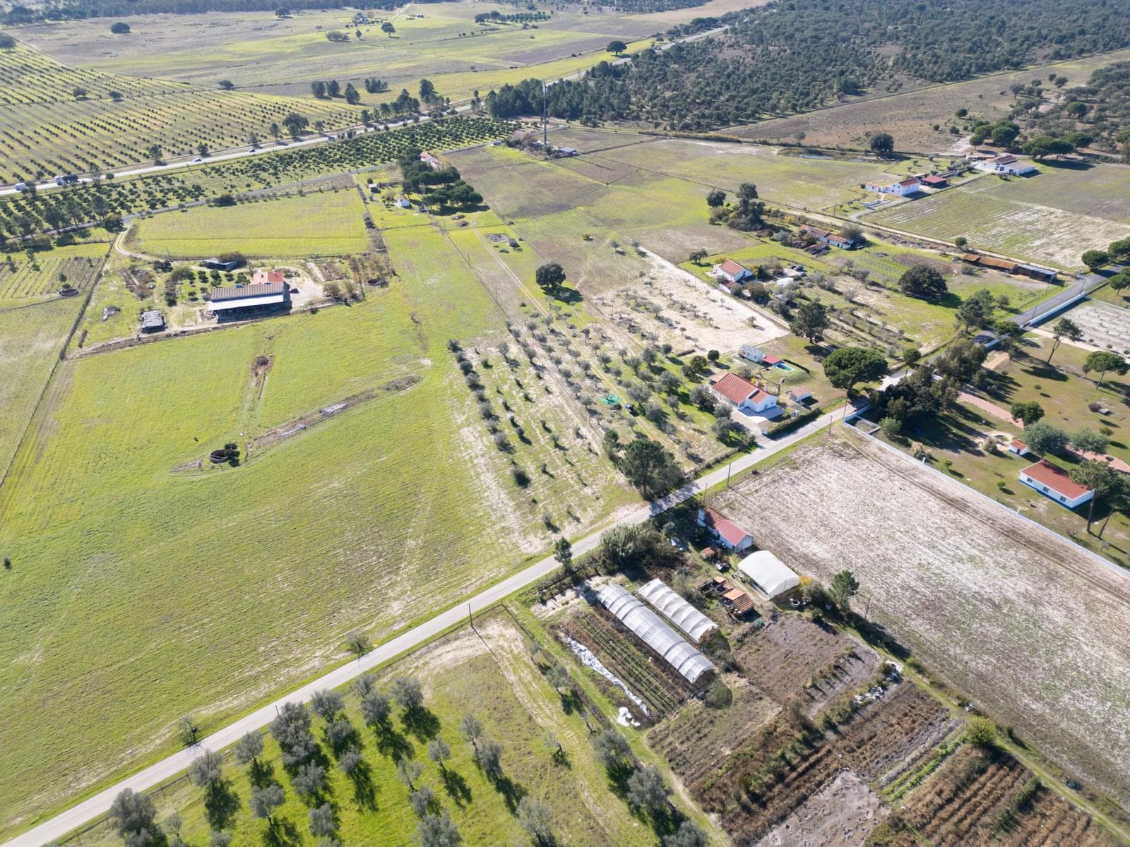 Terreno Misto 1.2 ha, Grandola - Imagem 19