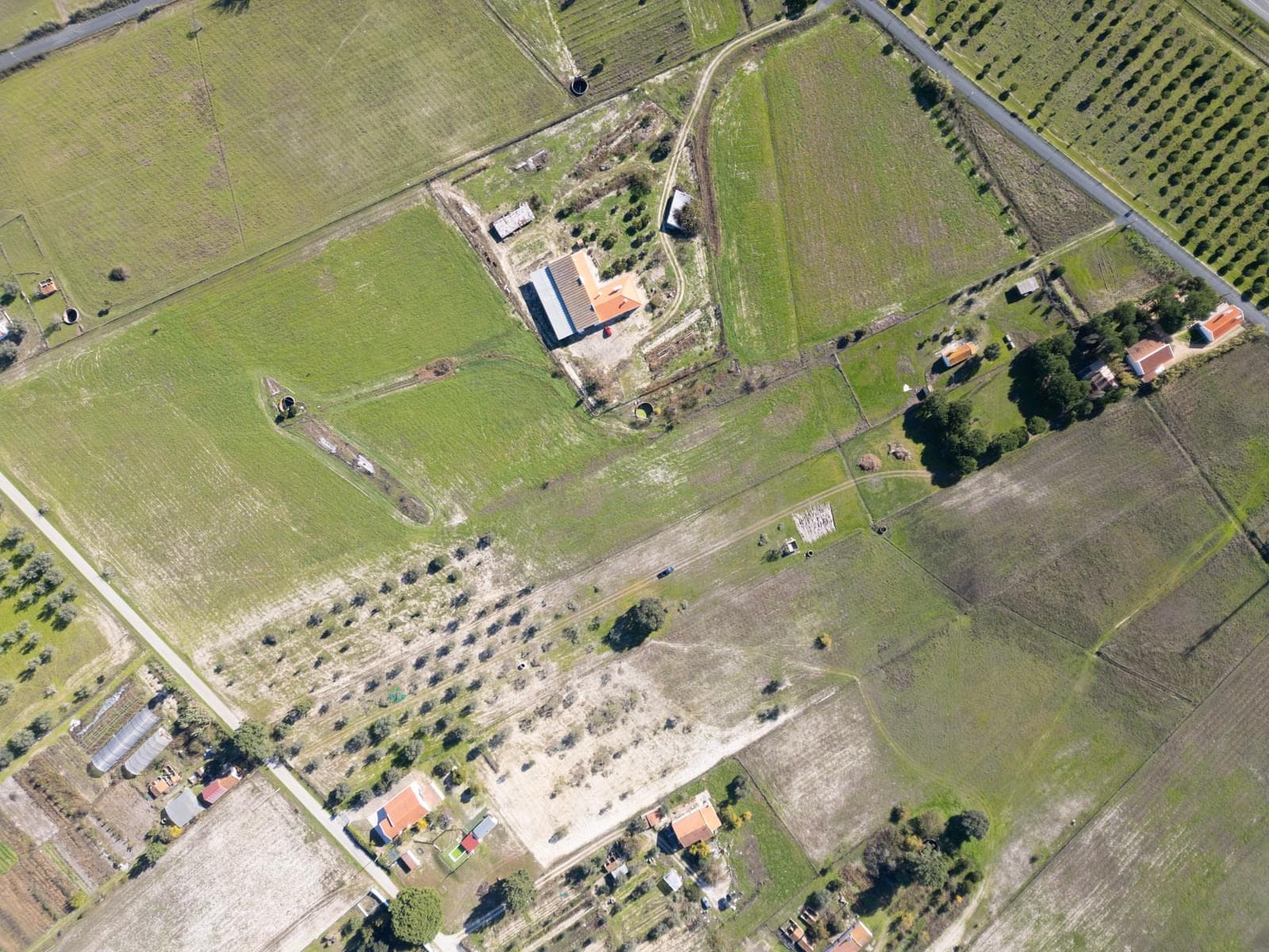 Terreno Misto 1.2 ha, Grandola - Imagem 23