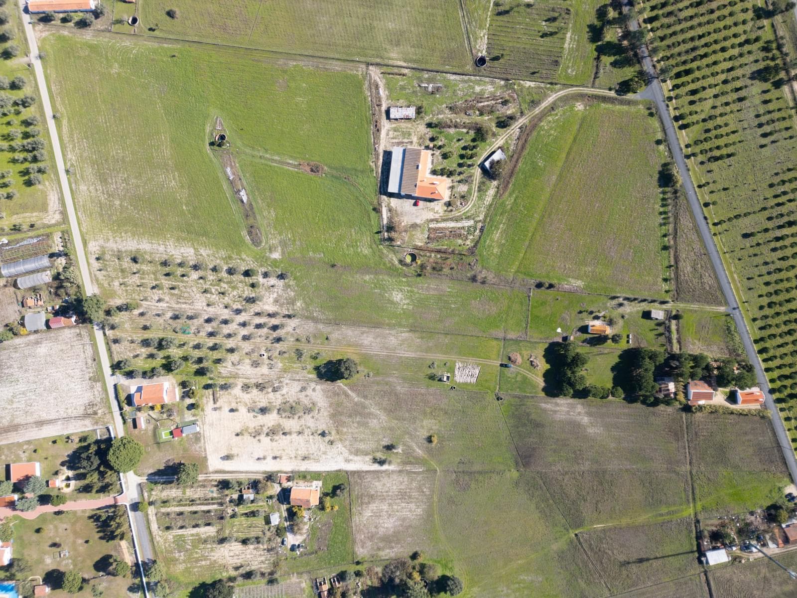 Terreno Misto 1.2 ha, Grandola - Imagem 22