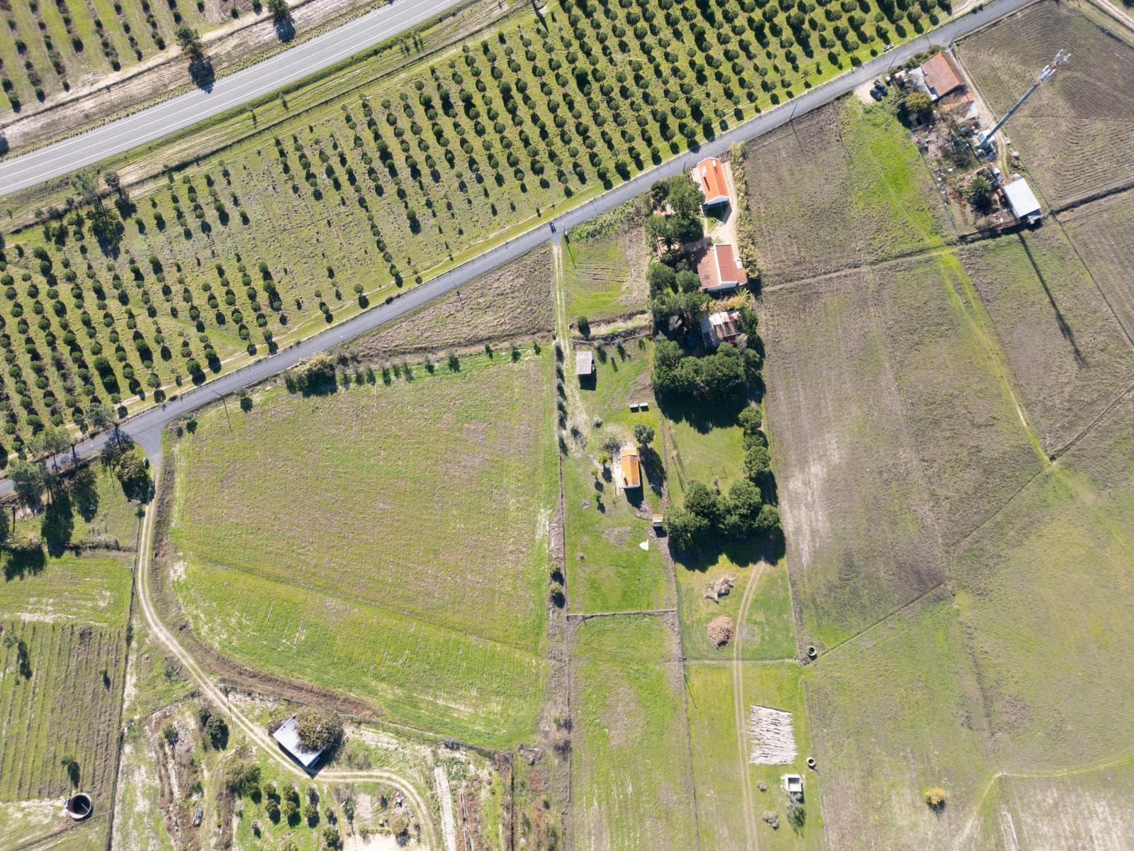 Terreno Misto 1.2 ha, Grandola - Imagem 24