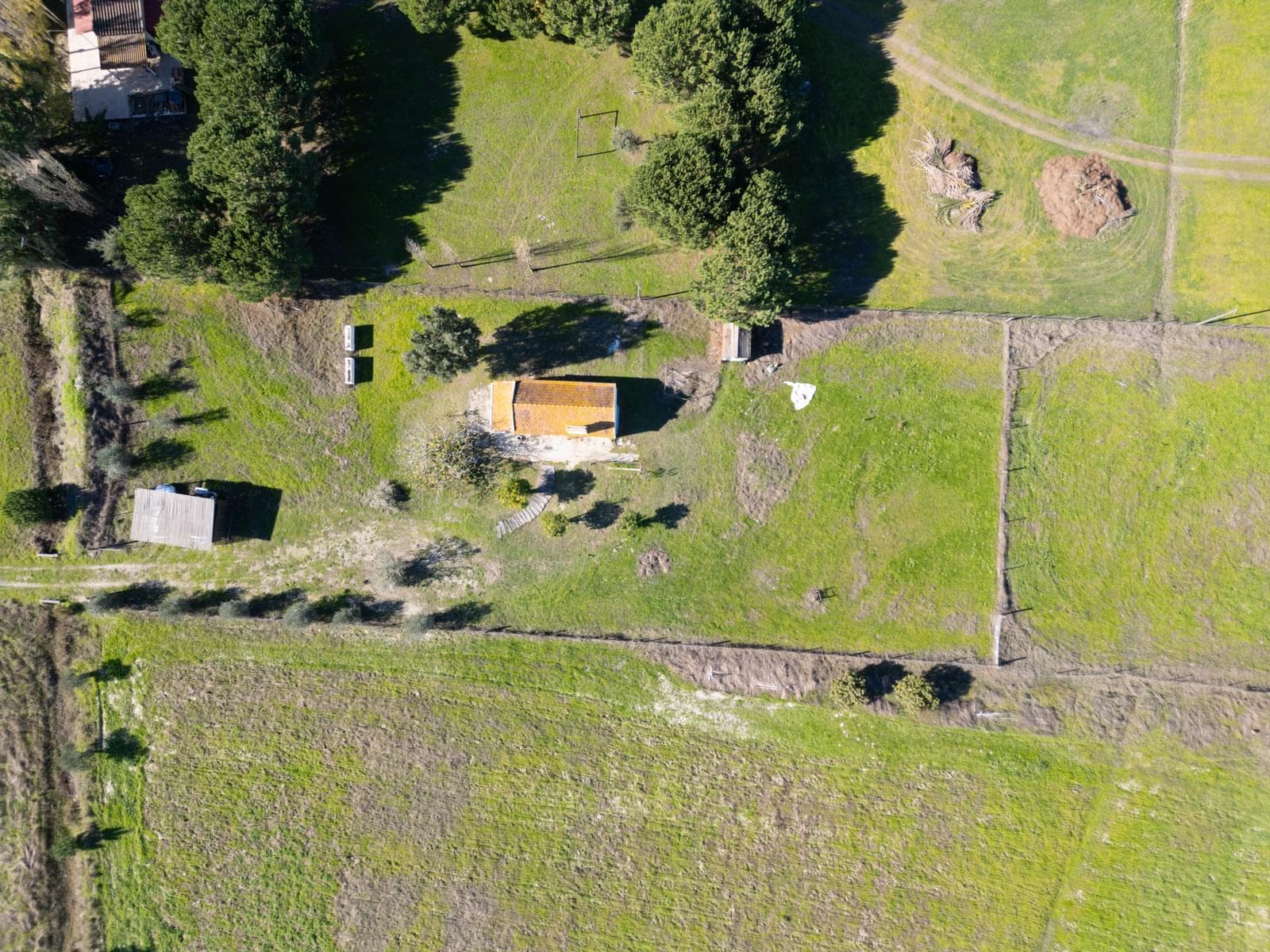 Terreno Misto 1.2 ha, Grandola - Imagem 8