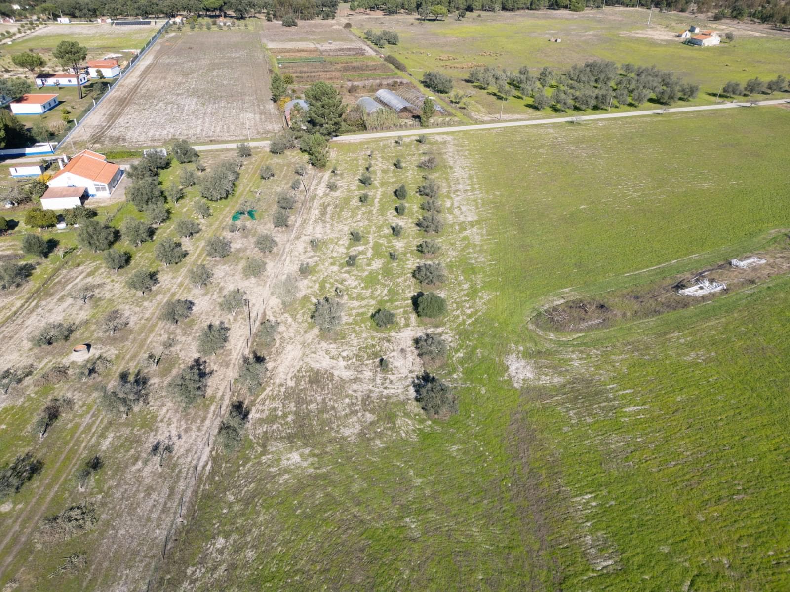 Terreno Misto 1.2 ha, Grandola - Imagem 6