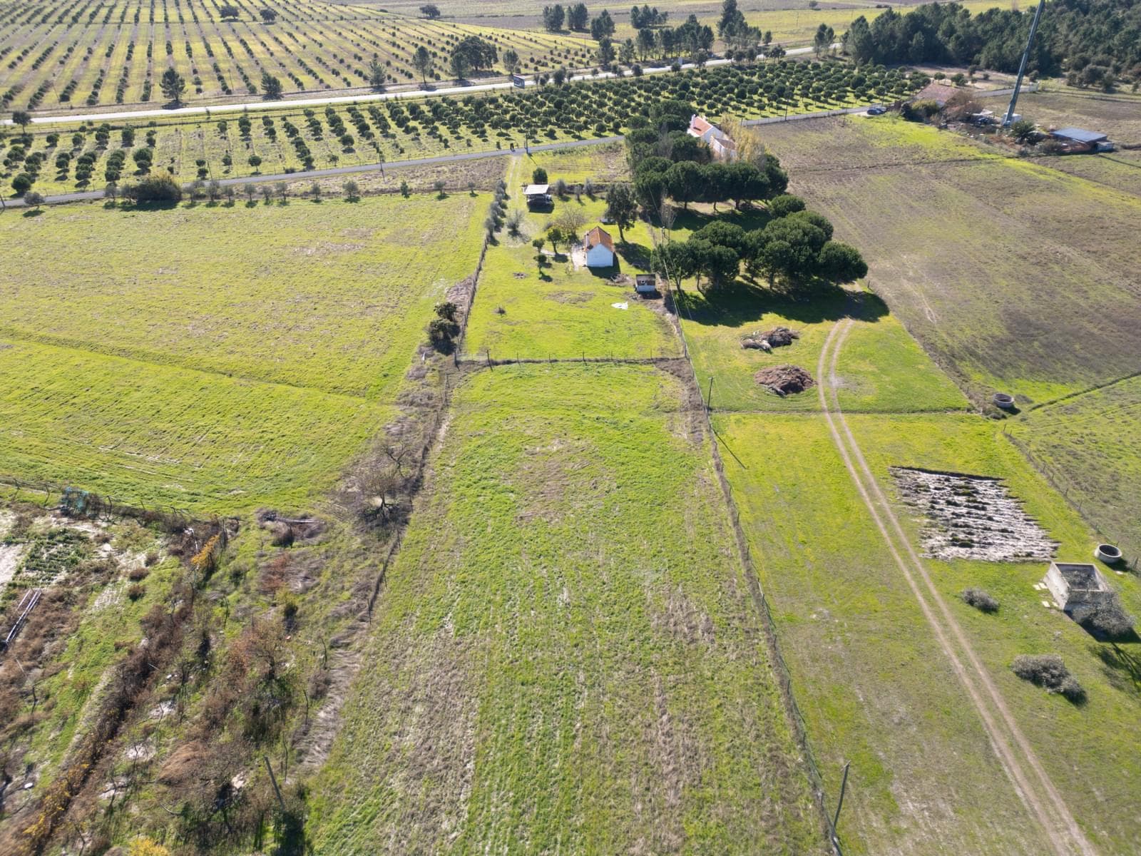 Terreno Misto 1.2 ha, Grandola - Imagem 9