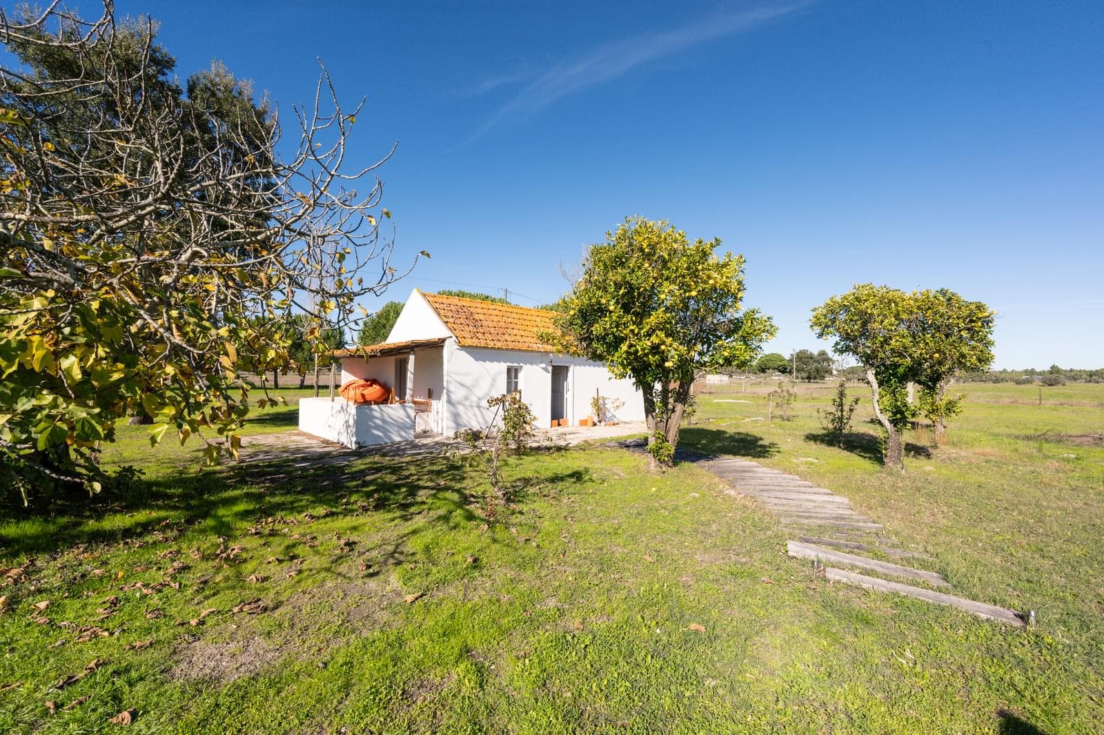 Terreno Misto 1.2 ha, Grandola - Imagem 4