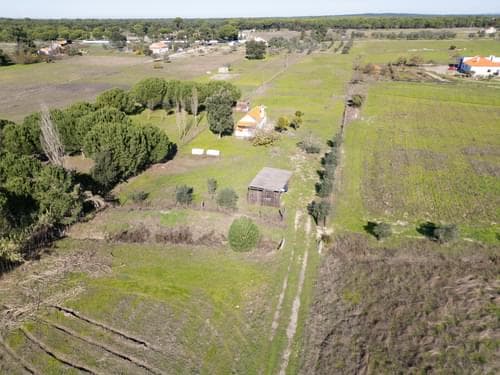 PF39047 - Terreno Misto 1.2 ha, Grandola - Imagem 10