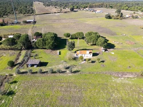 PF39047 - Terreno Misto 1.2 ha, Grandola - Imagem 5
