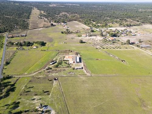 PF39047 - Terreno Misto 1.2 ha, Grandola - Imagem 16
