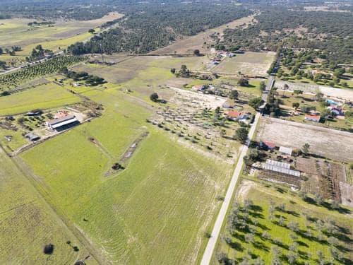 PF39047 - Terreno Misto 1.2 ha, Grandola - Imagem 17
