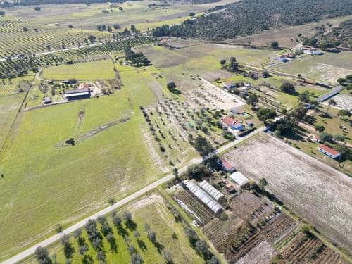 PF39047 - Terreno Misto 1.2 ha, Grandola - Imagem 19