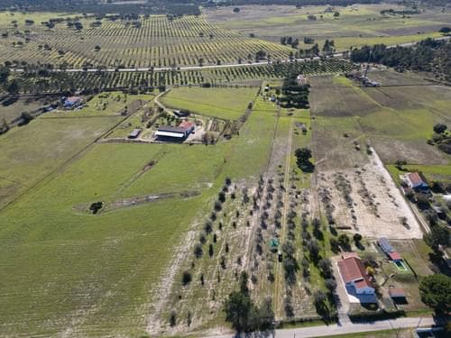 PF39047 - Terreno Misto 1.2 ha, Grandola - Imagem 21