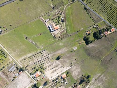 PF39047 - Terreno Misto 1.2 ha, Grandola - Imagem 23