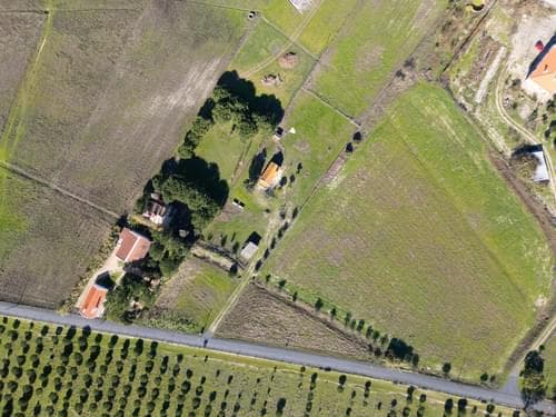 PF39047 - Terreno Misto 1.2 ha, Grandola - Imagem 25