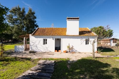 PF39047 - Terreno Misto 1.2 ha, Grandola - Imagem 2