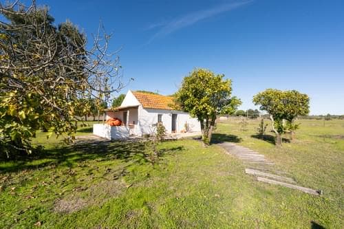 PF39047 - Terreno Misto 1.2 ha, Grandola - Imagem 4