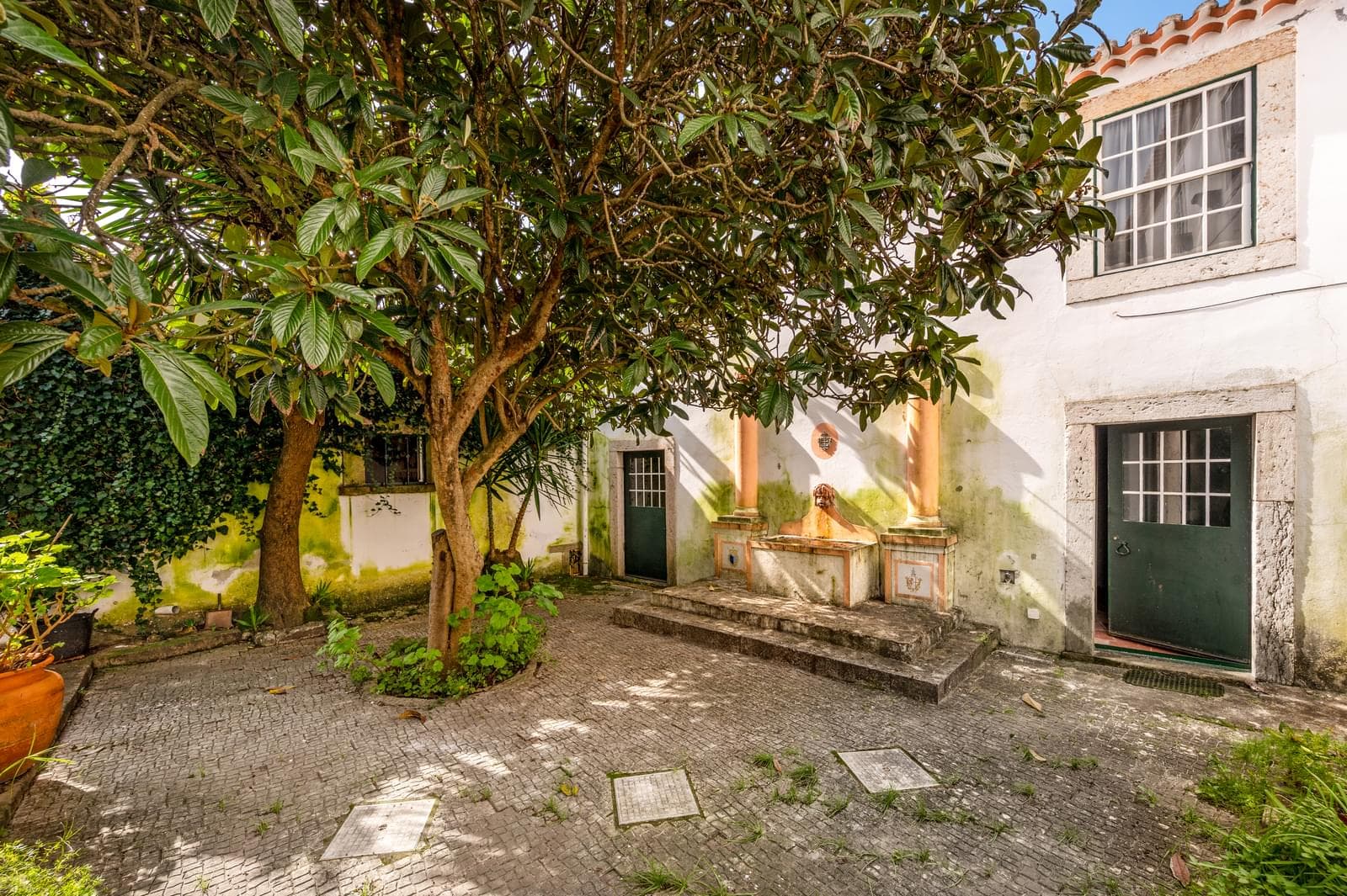 Quinta 1391 m2, Dois Portos, Torres Vedras - Imagem 36