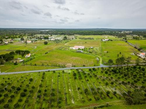 PF39244 - Moradia T3 com jardim, Grandola - Imagem 32
