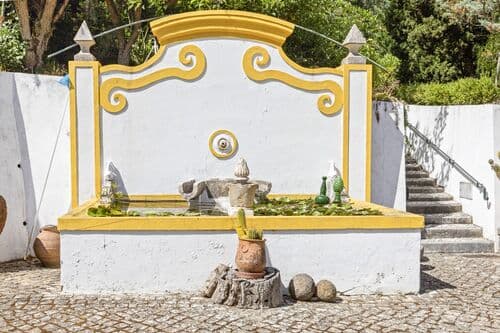 PF39250 - Ferme 4.2 ha, Torres Vedras - Image 34