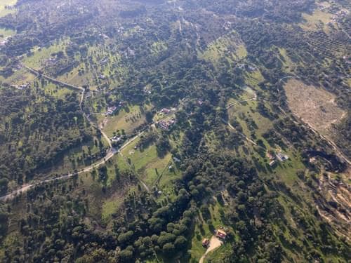 PF39252 - Terreno Misto 1.8 ha, Melides, Grandola - Imagem 20