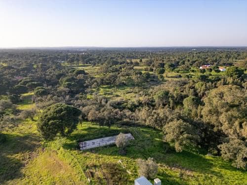PF39252 - Terreno Misto 1.8 ha, Melides, Grandola - Imagem 4
