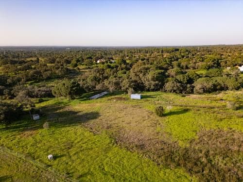 PF39252 - Terreno Misto 1.8 ha, Melides, Grandola - Imagem 5