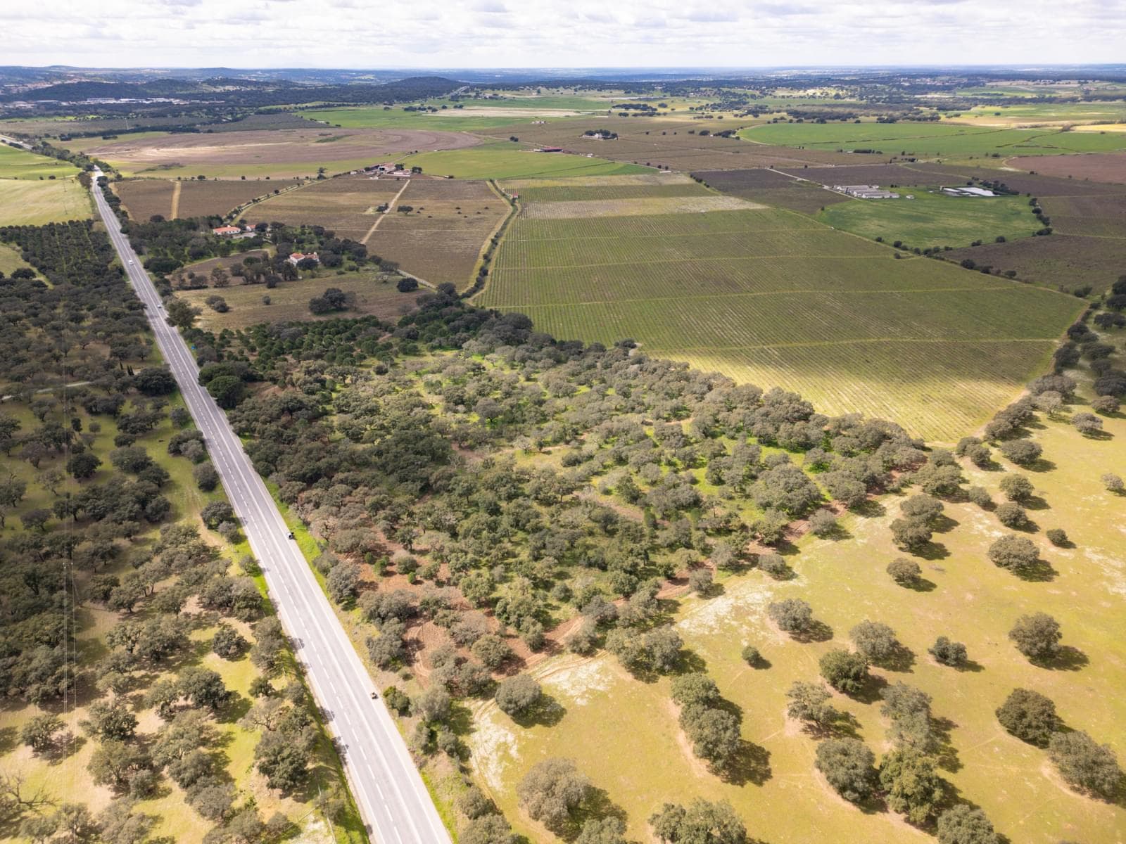 Terreno Rústico 7.5 ha, Quinta da Amoreira, Montemor-o-Novo - Imagem 5