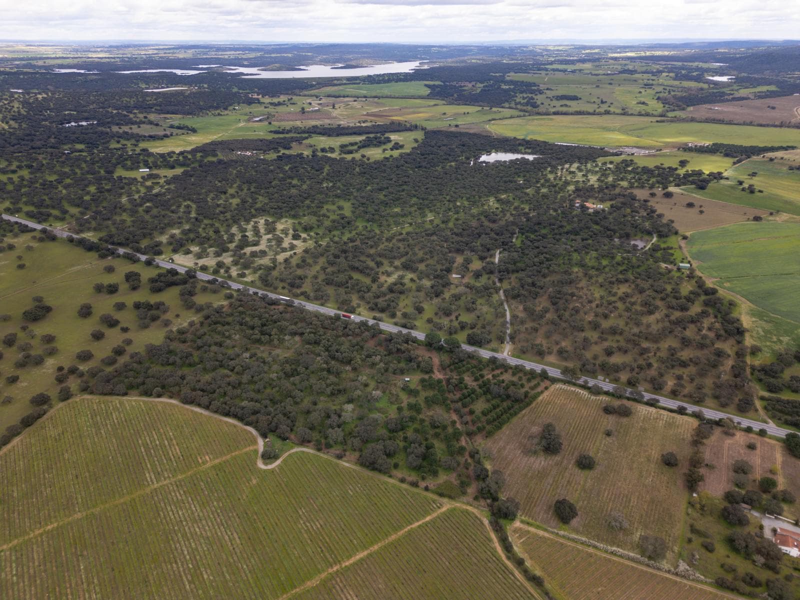 Terreno Rústico 7.5 ha, Quinta da Amoreira, Montemor-o-Novo - Imagem 17