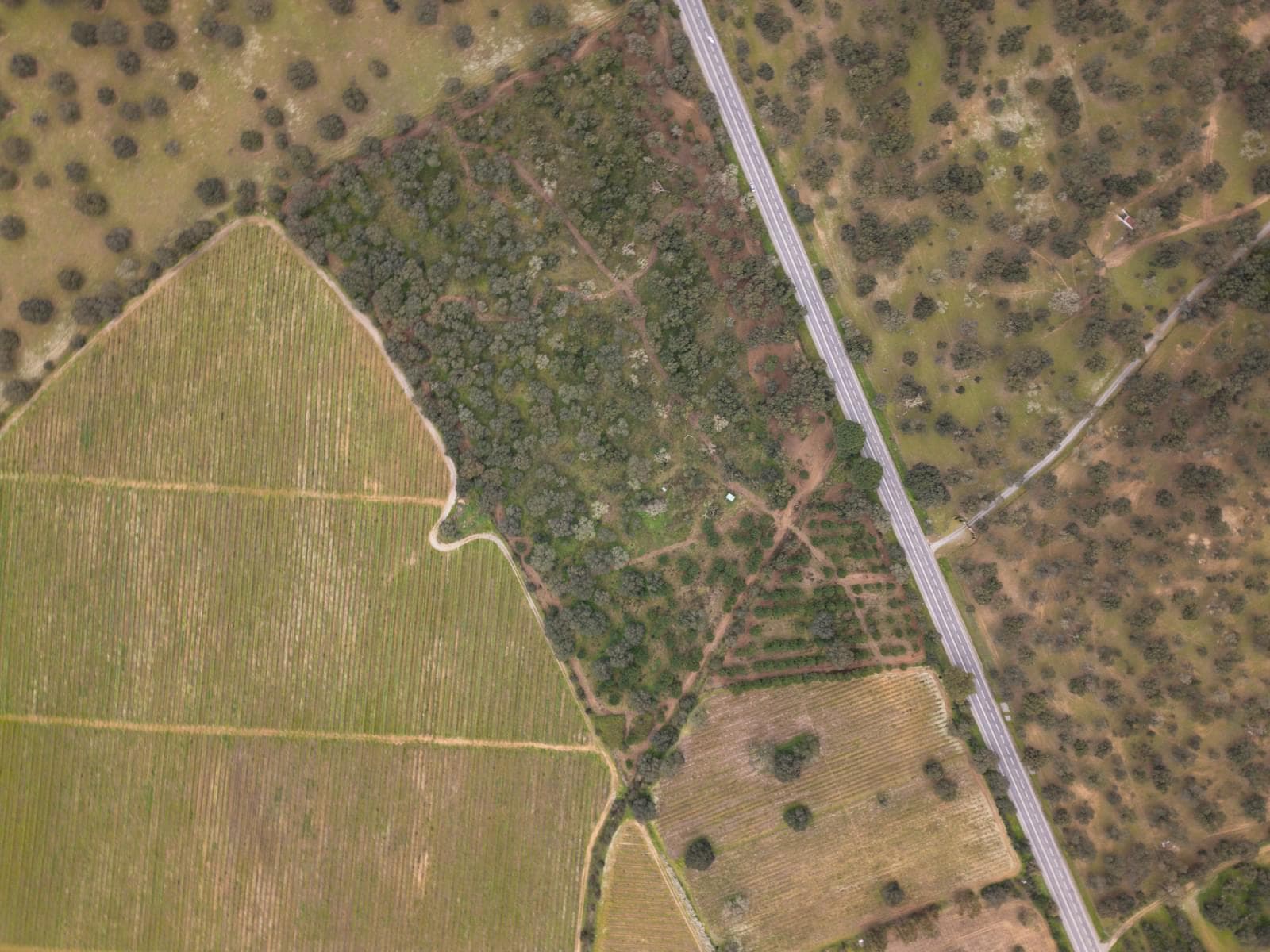 Terreno Rústico 7.5 ha, Quinta da Amoreira, Montemor-o-Novo - Imagem 23