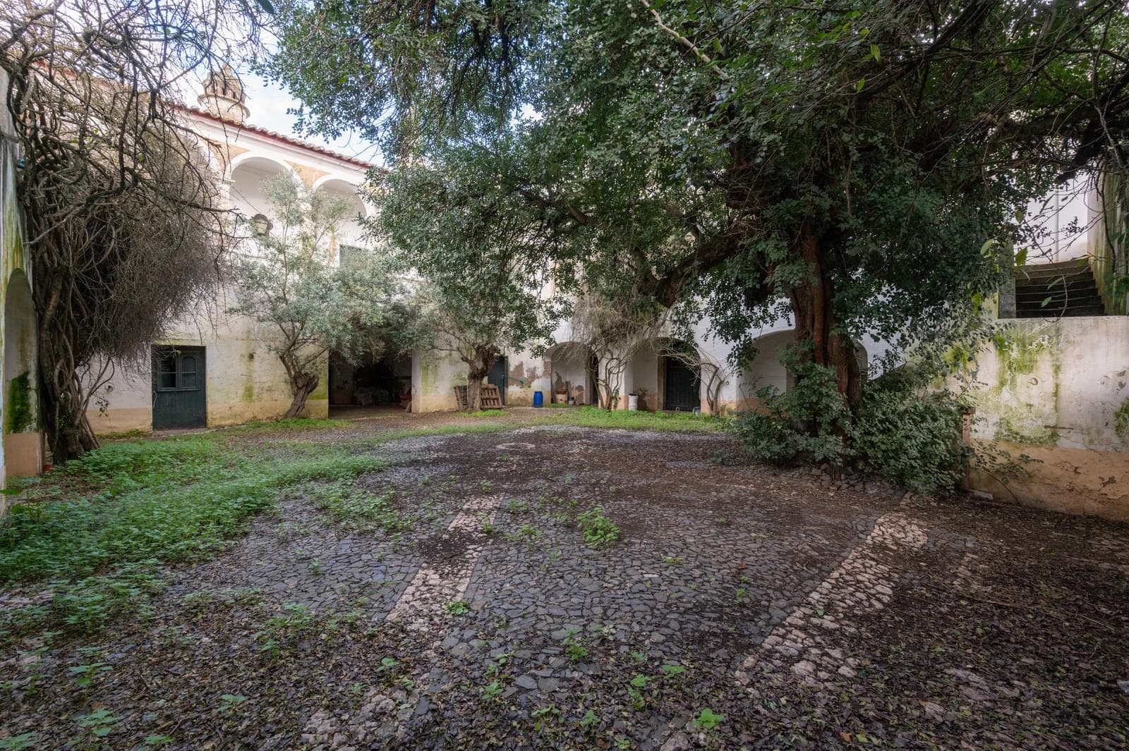 Palacete, Reguengos de Monsaraz - Imagem 28