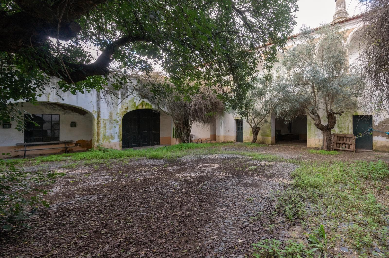 Palacete, Reguengos de Monsaraz - Imagem 29