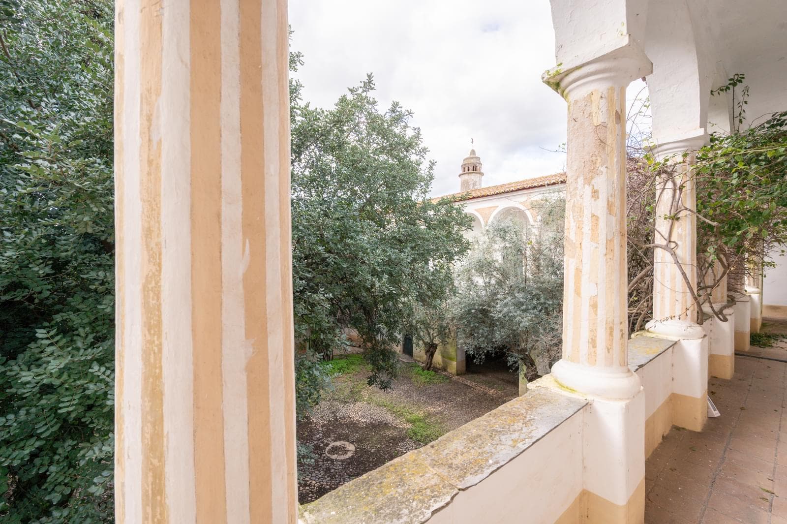 Palacete, Reguengos de Monsaraz - Imagem 26