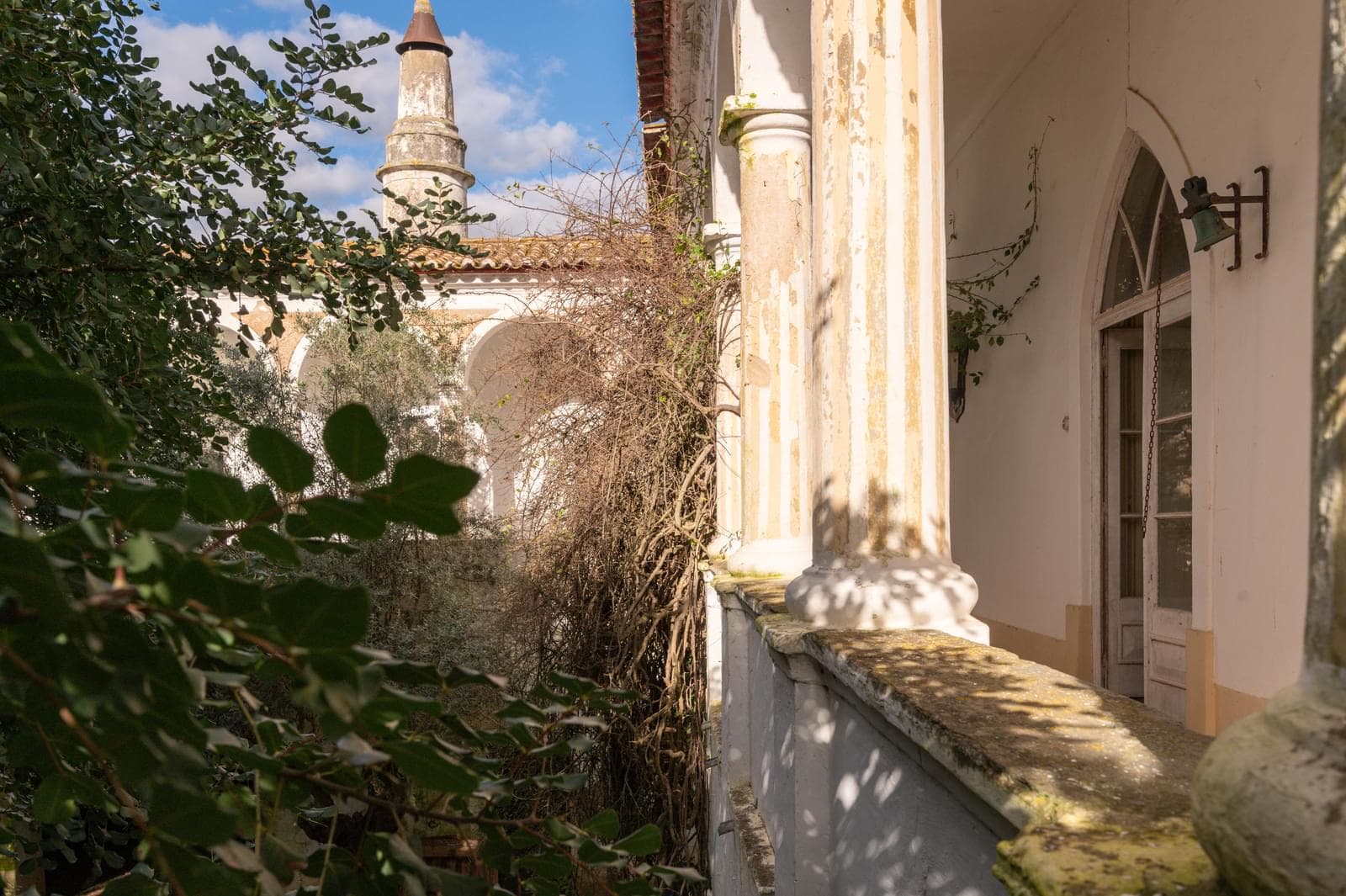 Palacete, Reguengos de Monsaraz - Imagem 27