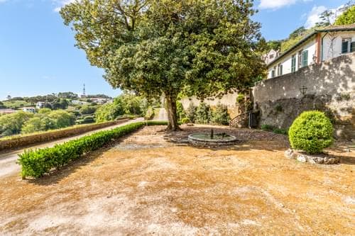 PF40102 - Ferme 5.9 ha, Sintra - Image 25