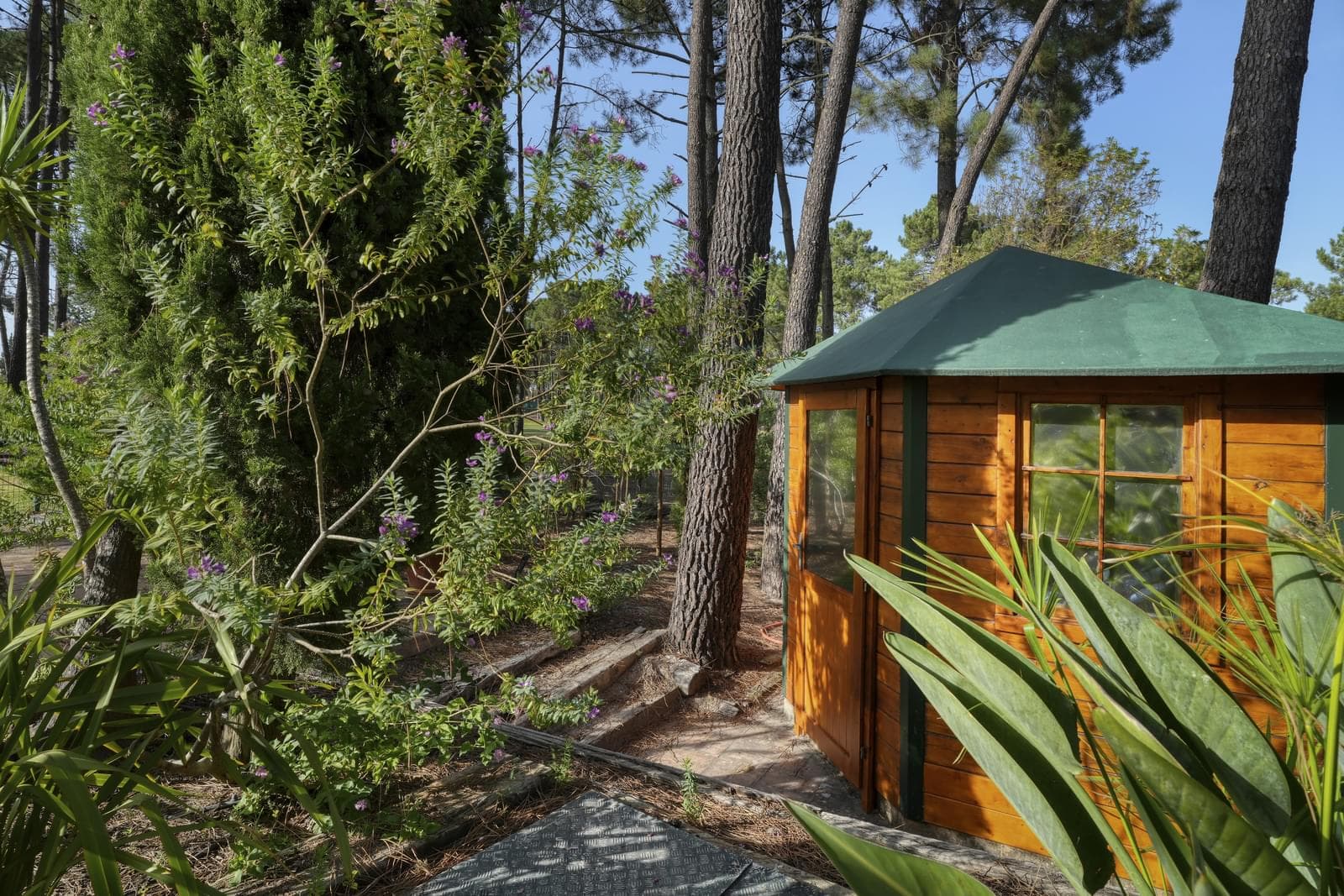 Moradia Isolada T6 com piscina, Quinta do Peru, Sesimbra - Imagem 78