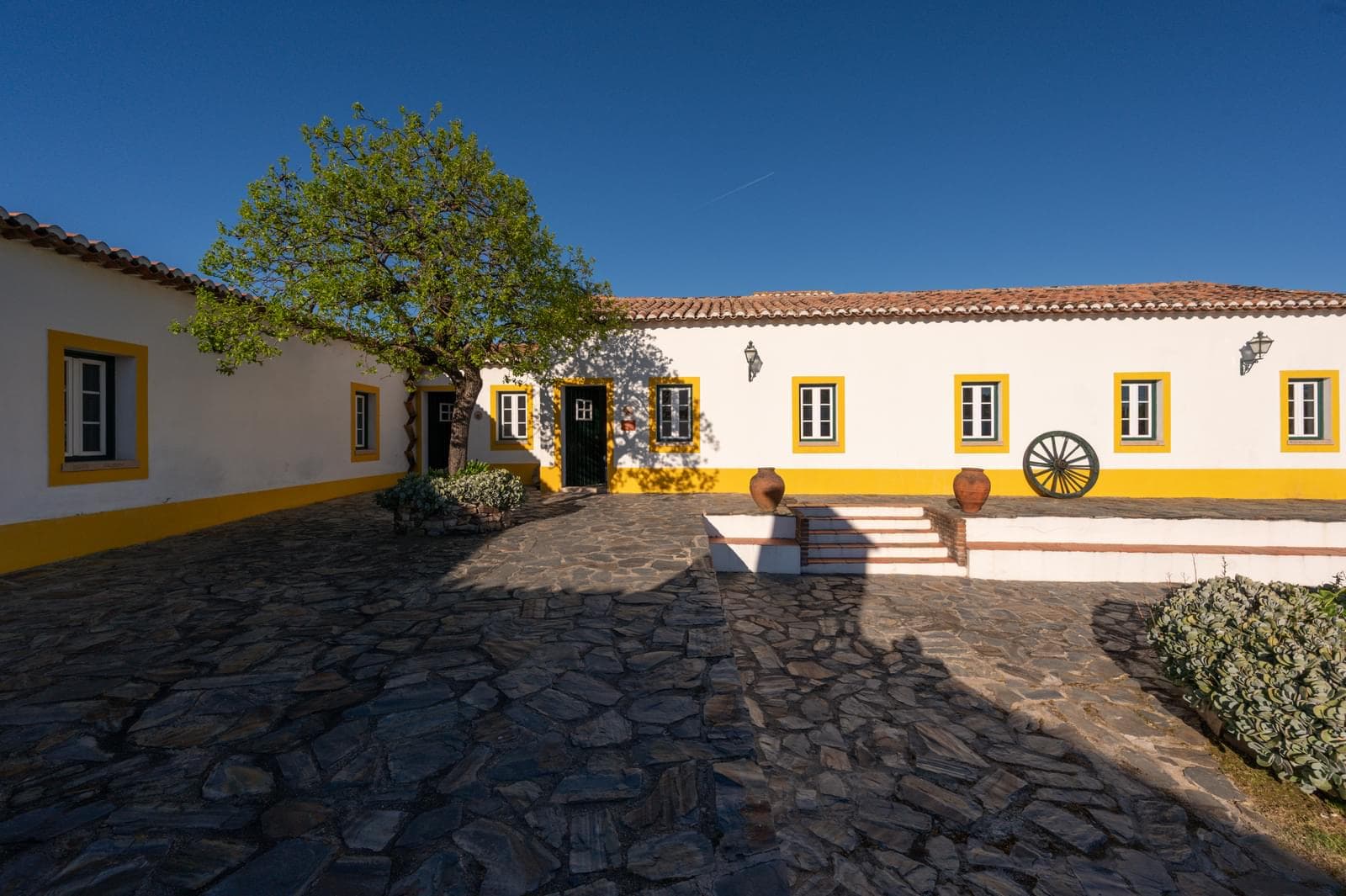 Quinta 4150 m2, Cabeço de Vide, Fronteira - Imagem 5