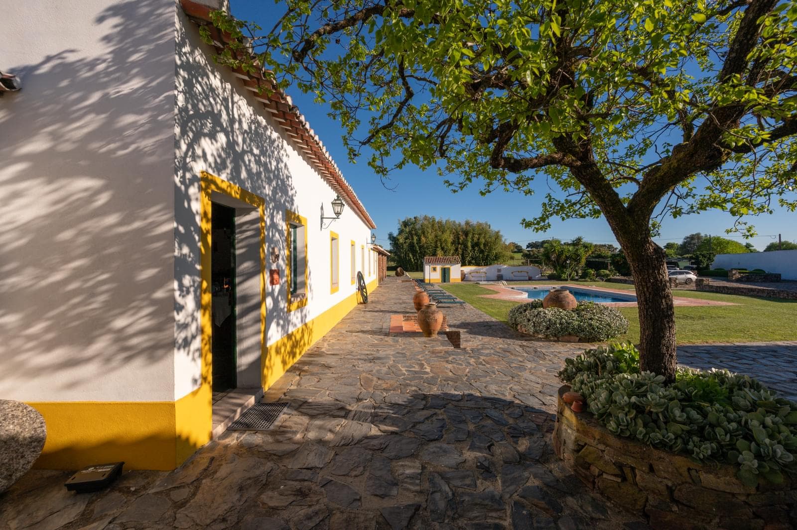 Quinta 4150 m2, Cabeço de Vide, Fronteira - Imagem 47