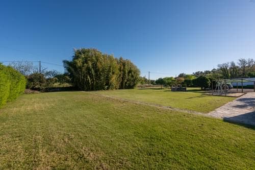 PF40170 - Quinta 4150 m2, Cabeço de Vide, Fronteira - Imagem 56