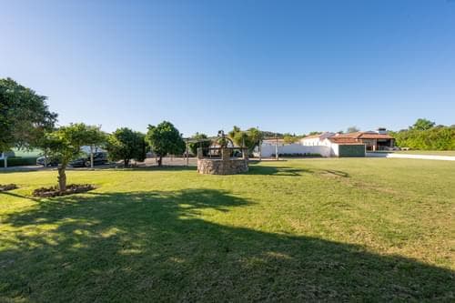 PF40170 - Quinta 4150 m2, Cabeço de Vide, Fronteira - Imagem 53