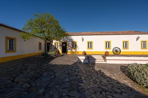 PF40170 - Quinta 4150 m2, Cabeço de Vide, Fronteira - Imagem 5