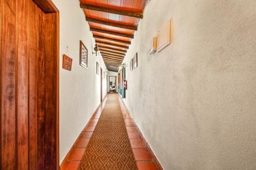 PF40170 - Quinta 4150 m2, Cabeço de Vide, Fronteira - Imagem 24