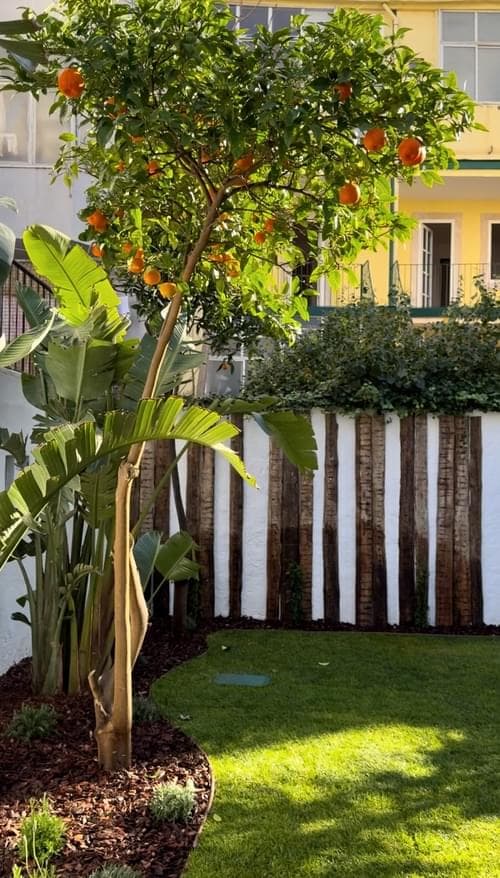 PF40174 - Apartamento T2 + 1 com jardim, Graça, Lisboa - Imagem 33